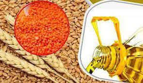 ৪২৪ কোটি টাকার তেল-ডাল-গম কিনছে সরকার