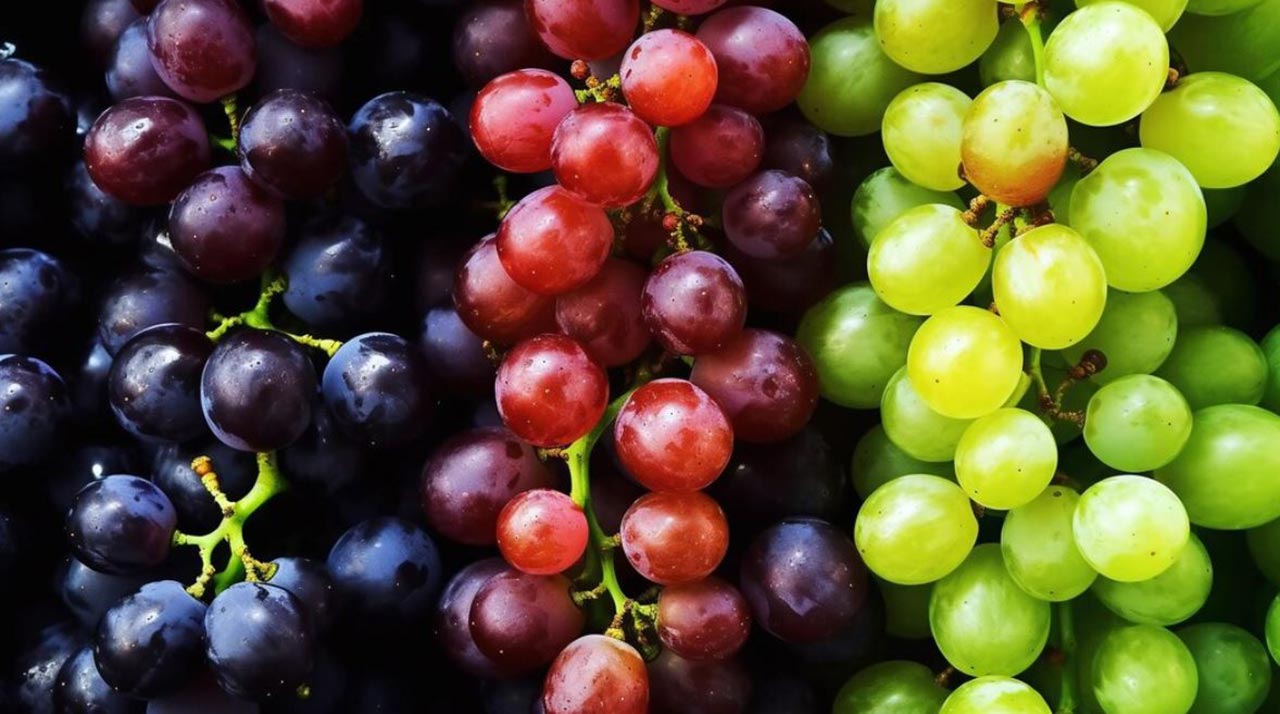 কোন আঙুর বেশি উপকারী