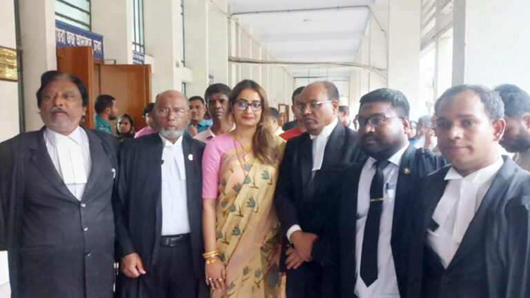 নাশকতার ৭ মামলায় নিপুনের জামিন