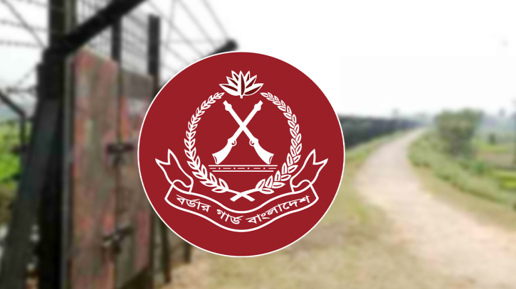 সীমান্তে অবৈধ অনুপ্রবেশের দায়ে আটক ১