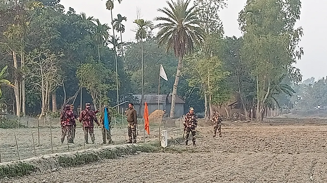 ফুলবাড়ী সীমান্তে বিএসএফের সড়ক নির্মাণ চেষ্টা আটকে দিয়েছে বিজিবি