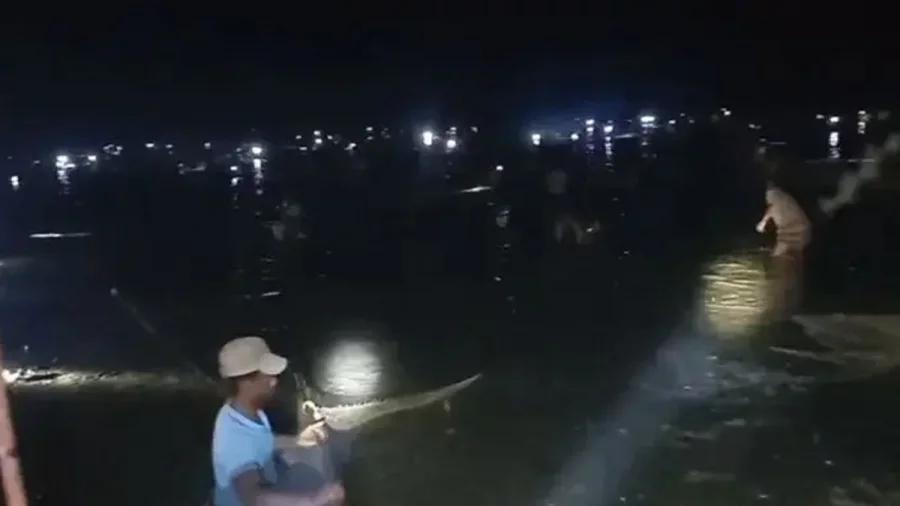 ৮ গ্রামের মানুষ মিলে জলমহালের অর্ধকোটি টাকার মাছ লুটপাট