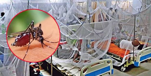 ২৪ ঘণ্টায় ডেঙ্গুতে আরও ৫ জনের মৃত্যু