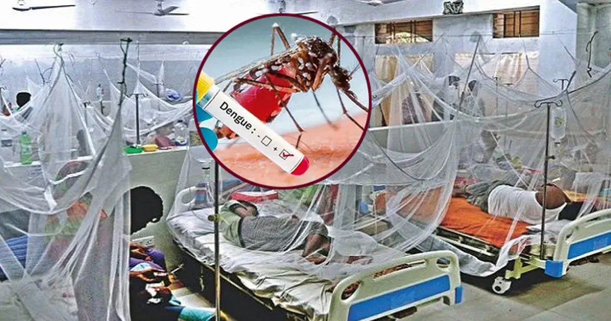 ডেঙ্গুতে আরও ৪ জনের মৃত্যু, হাসপাতালে ভর্তি ১৯৭৮