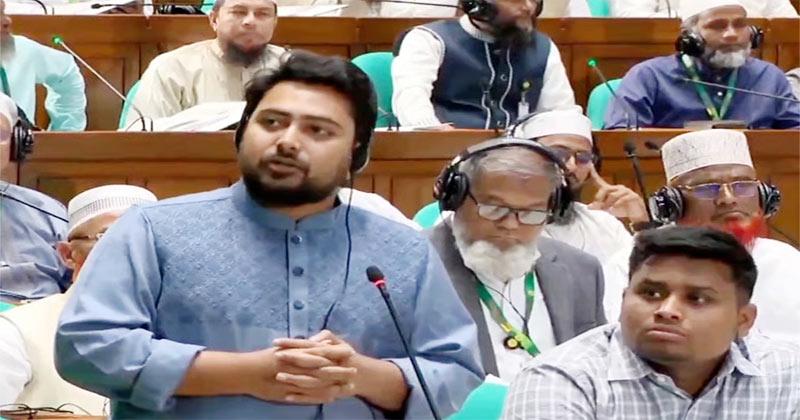 সংসদের কার্যক্রম দেখলে মনে হয় গণভোট হয়নি: নাহিদ ইসলাম