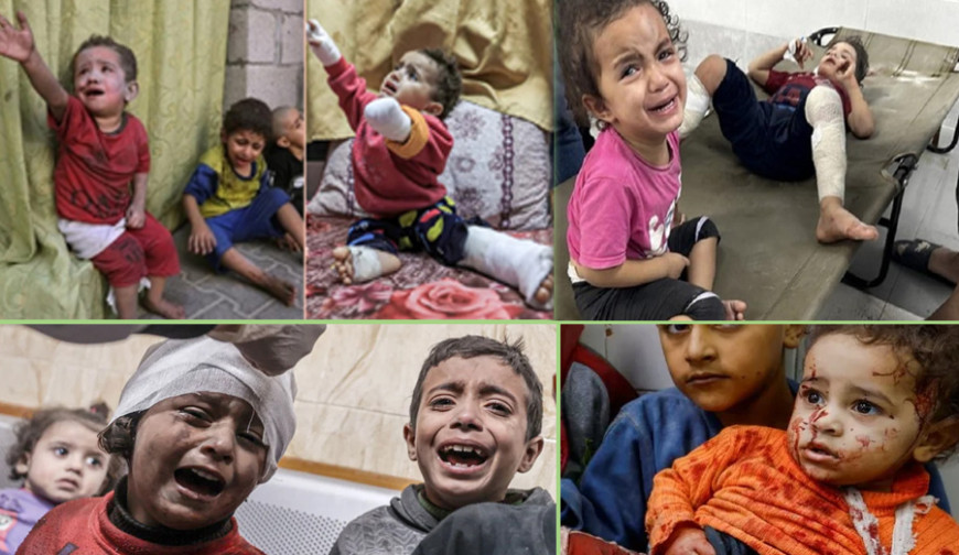 গাজায় মানবিক বিপর্যয়: ইসরায়েলি অবরোধে প্রাণ গেল ৩৩০ জনের, গর্ভপাত ৩ শতাধিক