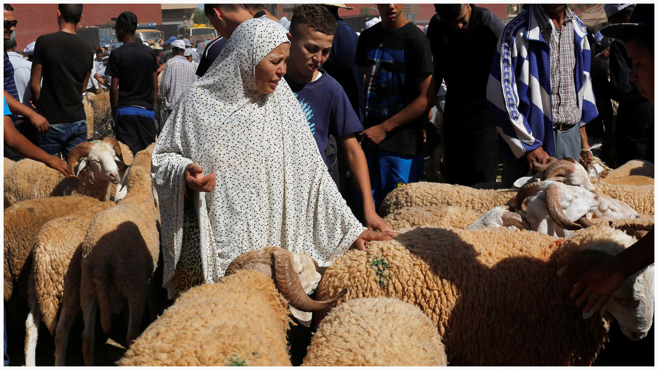মরক্কোতে এ বছর কোরবানি না দিতে সরকারি আদেশ জারি