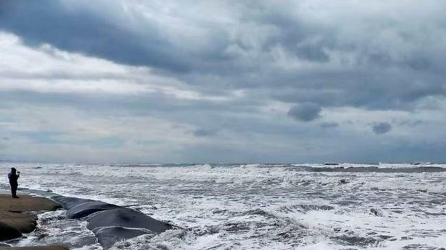 মে'র শেষ দিকে বঙ্গোপসাগরে নিম্নচাপের পূর্বাভাস