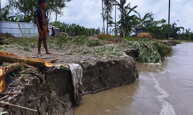 সুখের বাতি গ্রামে সুখ নাই