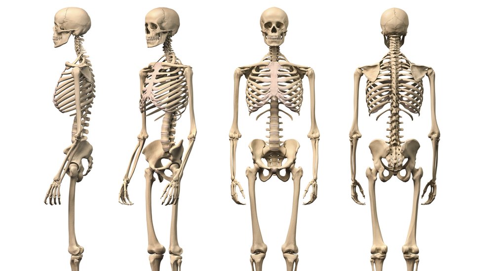 ঠাকুরগাঁওয়ে কবর থেকে একই পরিবারের ৪ কঙ্কাল চুরি