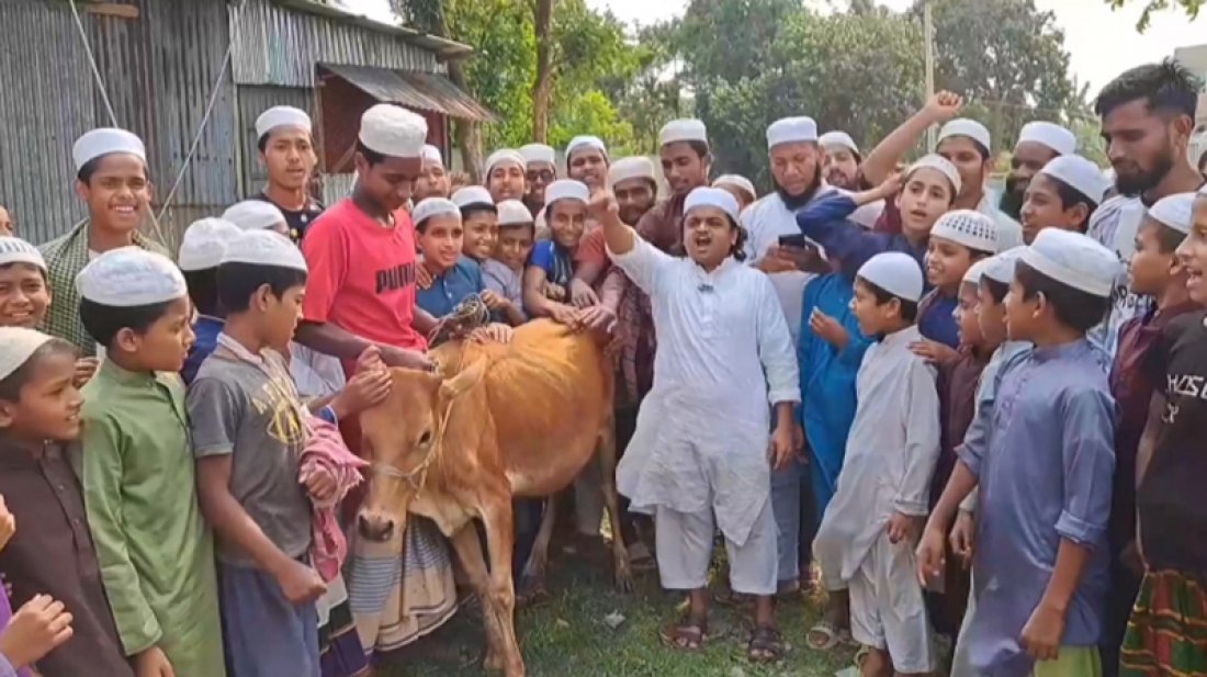 আ.লীগকে নিষিদ্ধ করায় গরু ‘কোরবানি’ করলেন রফিকুল ইসলাম মাদানী