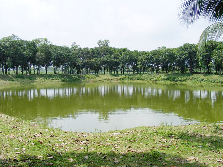 ইডেন কলেজের পুকুর থেকে শিক্ষার্থীর মরদেহ উদ্ধার