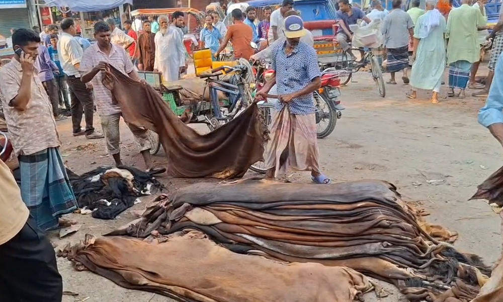 গতবার যে চামড়া বিক্রি হয়েছিল ৬০০ টাকা, এবার সেটা ১০০ টাকা