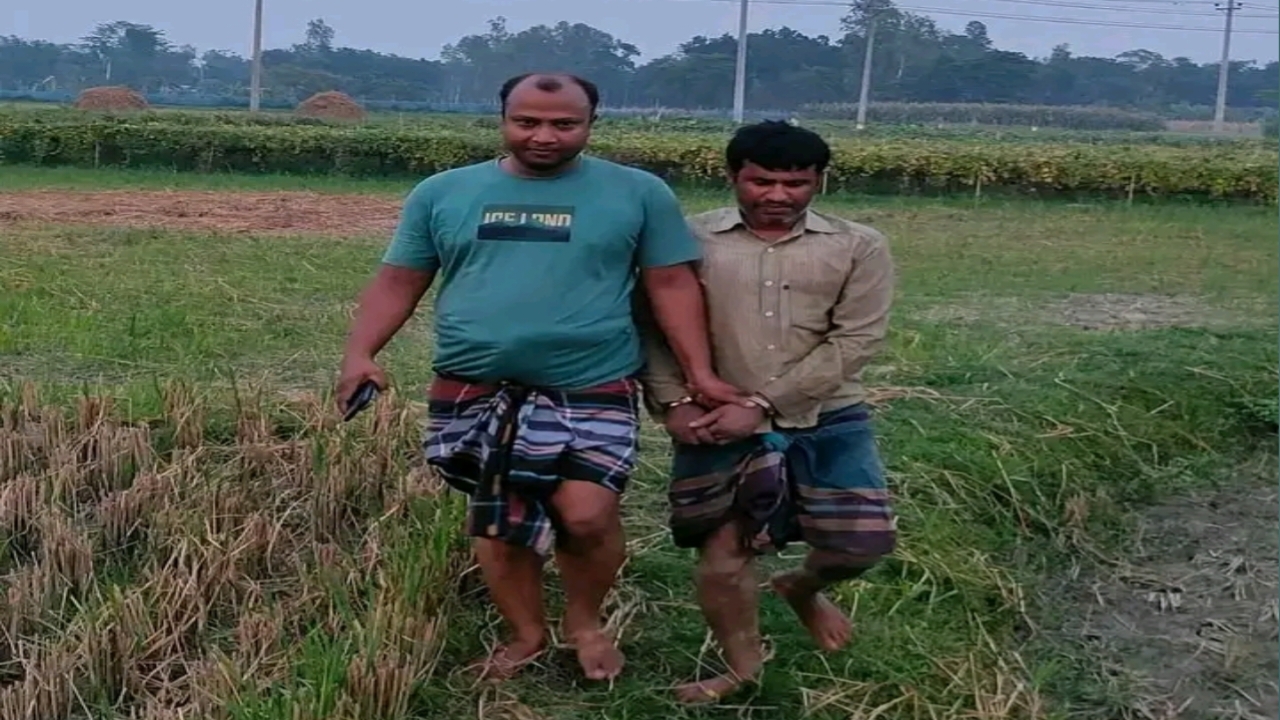 কৃষক সেজে ধানখেত থেকে সাজাপ্রাপ্ত আসামি ধরল পুলিশ