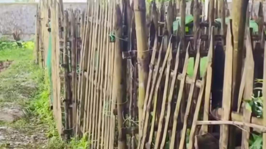 সিরাজগঞ্জে কবরস্থান থেকে ৭ কঙ্কাল উধাও