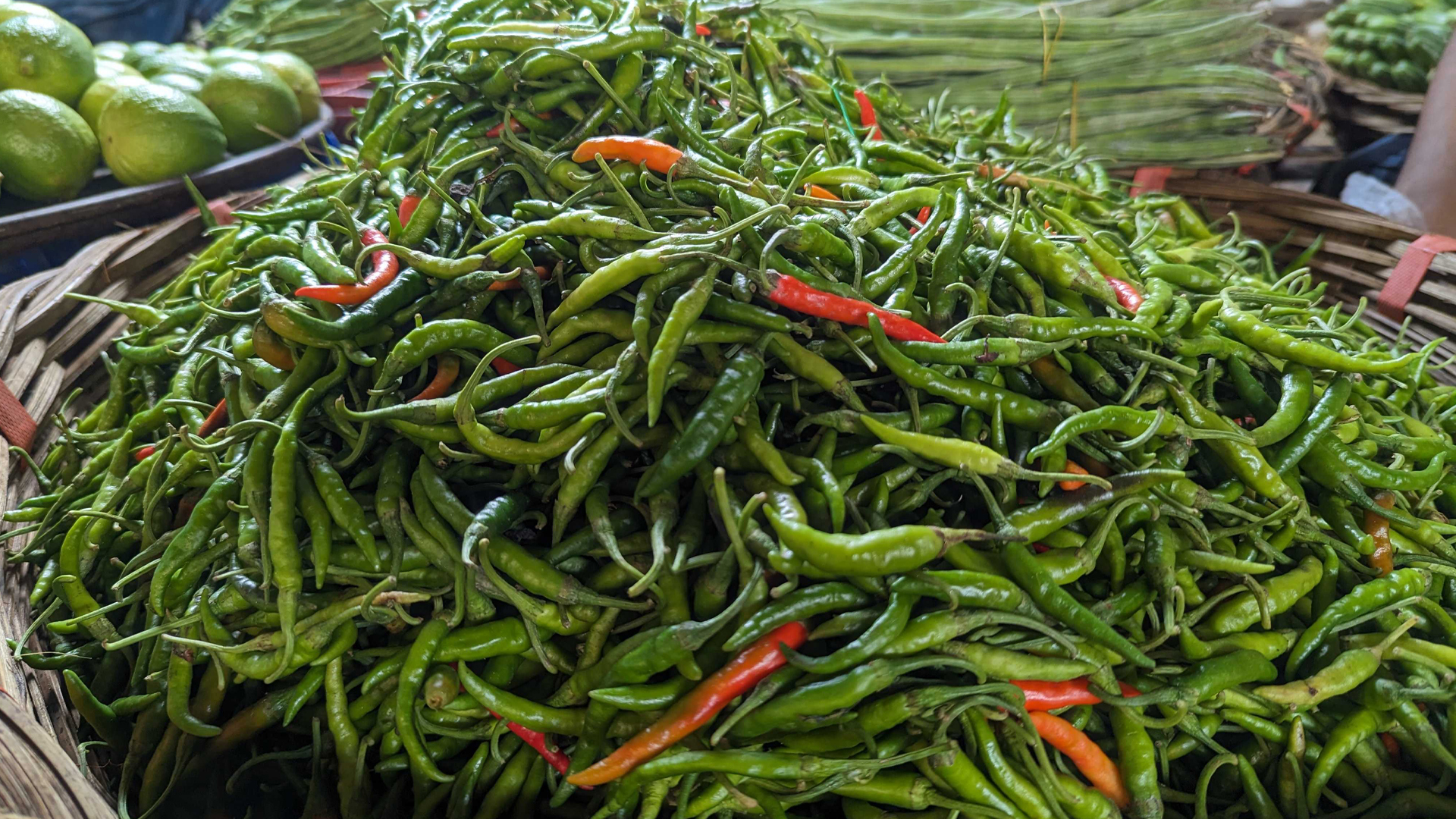 টানা বৃষ্টিতে কাঁচা মরিচের দাম বেড়ে দ্বিগুণ, ভোগান্তিতে ভোক্তারা