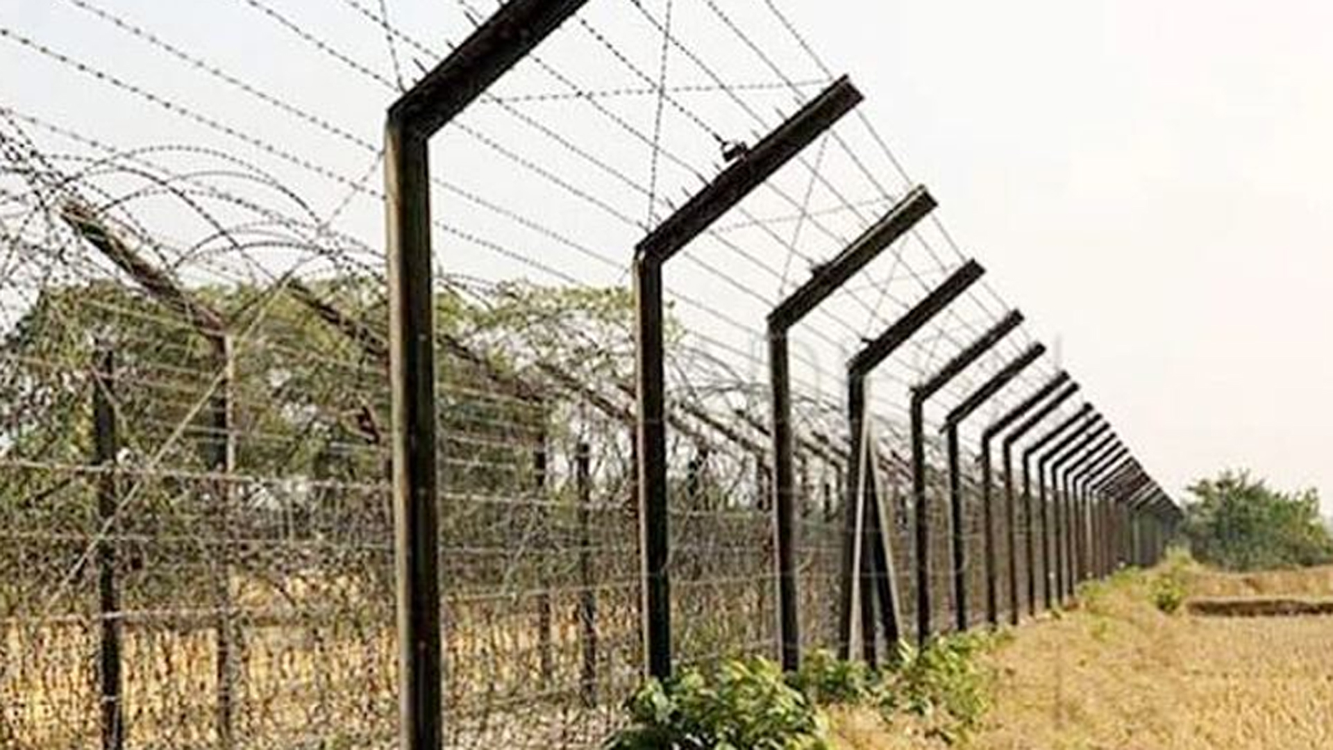 ভারত থেকে পঞ্চগড়ে ফের পুশ-ইন, নারী-শিশুসহ ১৫ জন আটক