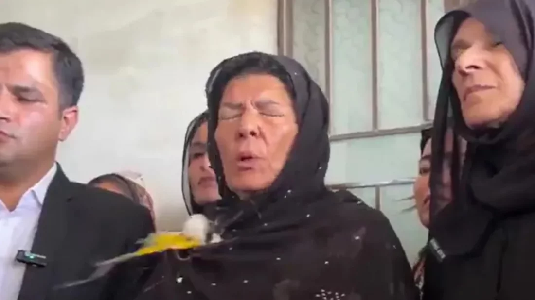 পাকিস্তানে ইমরান খানের বোনকে ডিম নিক্ষেপ, দুই নারী গ্রেপ্তার