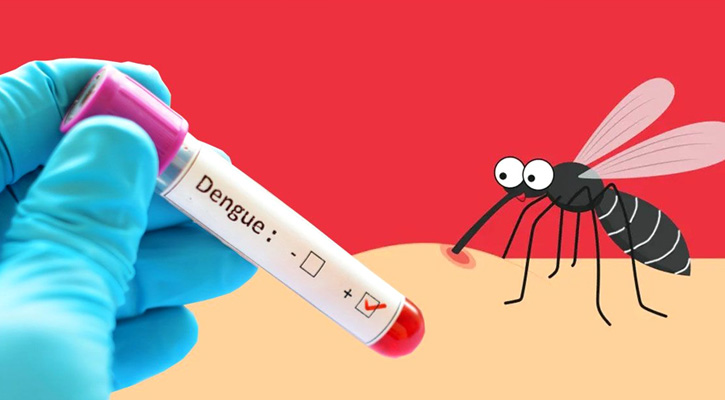 ২৪ ঘণ্টায় ডেঙ্গুতে একজনের মৃত্যু, হাসপাতালে ভর্তি ২৬২