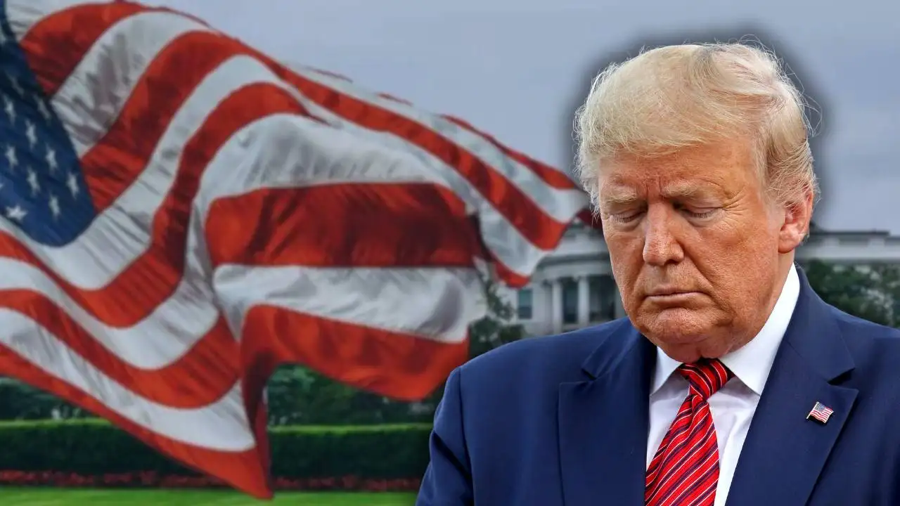 বিশ্বের যেকোনো মানুষের চেয়ে আমি শুল্ক বেশি বুঝি: ট্রাম্প