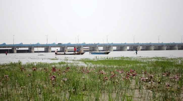 তিস্তার পানি বৃদ্ধি, ফসলের ব্যাপক ক্ষয়ক্ষতি