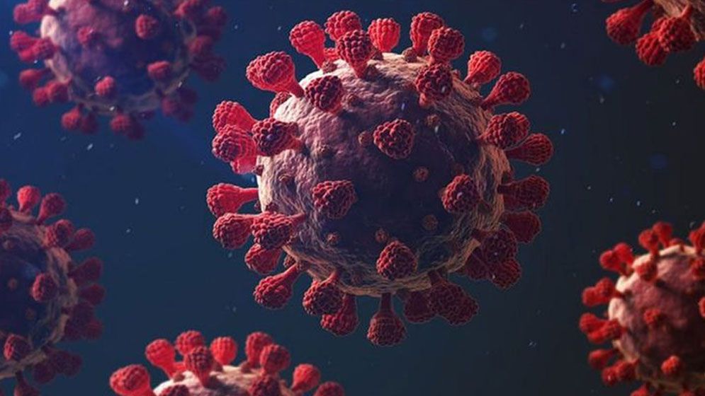 ২৪ ঘণ্টায় দেশে কোভিডে মৃত্যু ১, শনাক্ত ১০