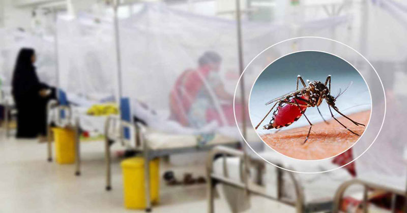 একদিনে আরও ৩৮৩ জনের ডেঙ্গু শনাক্ত, মৃত্যু ১