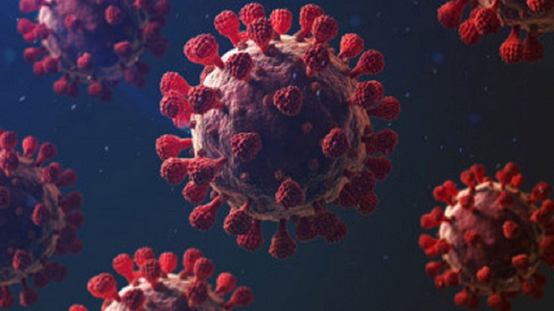 ২৪ ঘণ্টায় করোনা শনাক্ত ২৬