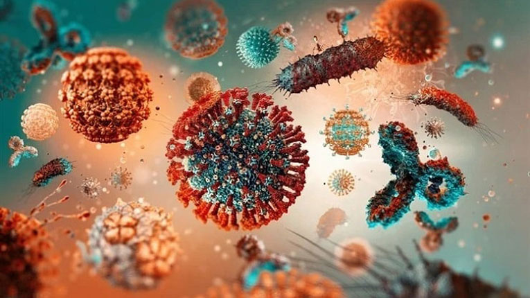 বান্দরবানে করোনা আক্রান্ত এক নারী