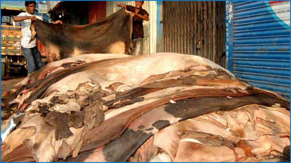 এবারও চামড়া নিয়ে হতাশা, লোকসানের শঙ্কায় ব্যবসায়ীরা