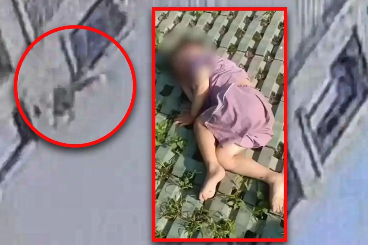 চীনে ১৮ তলা থেকে পড়ে বেঁচে গেল ৩ বছরের শিশু, জীবন বাঁচাল এক গাছ!