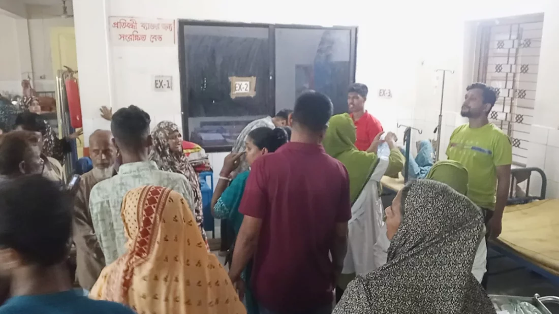 চুয়াডাঙ্গায় আপন দুই ভাইকে কুপিয়ে হত্যা