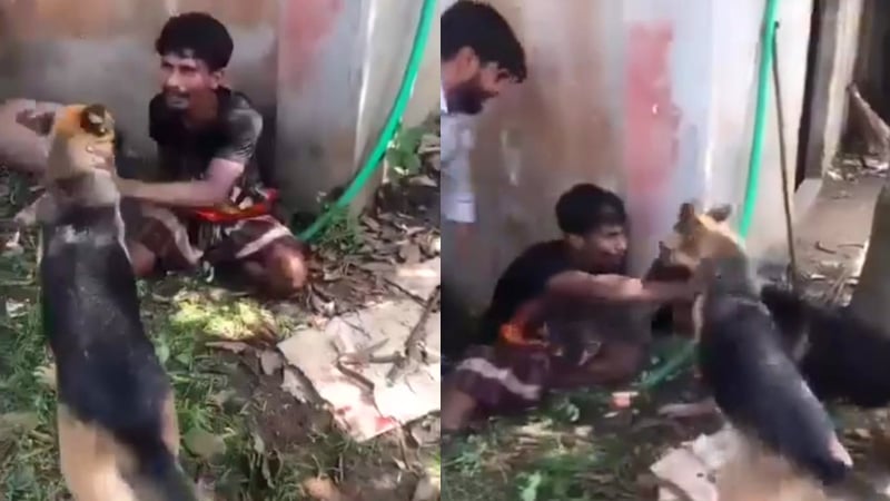 চোর সন্দেহে যুবককে ধরে কুকুর লেলিয়ে দেওয়ার ভিডিও ভাইরাল