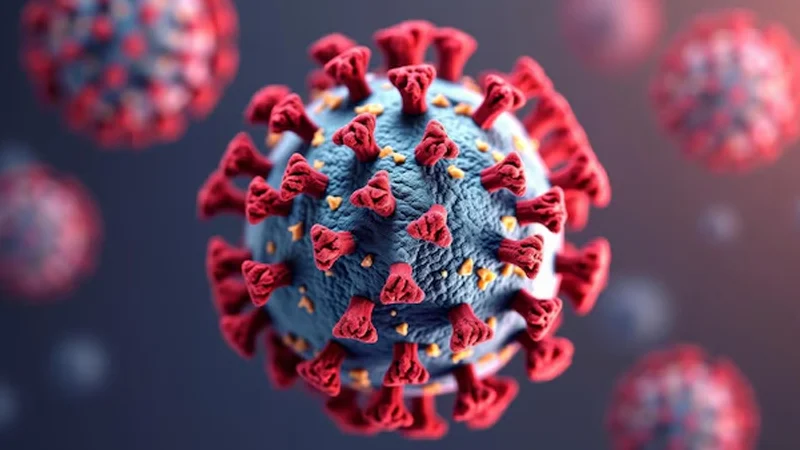 চলতি বছর করোনায় মৃত্যু ২২, একদিনে শনাক্ত ৭