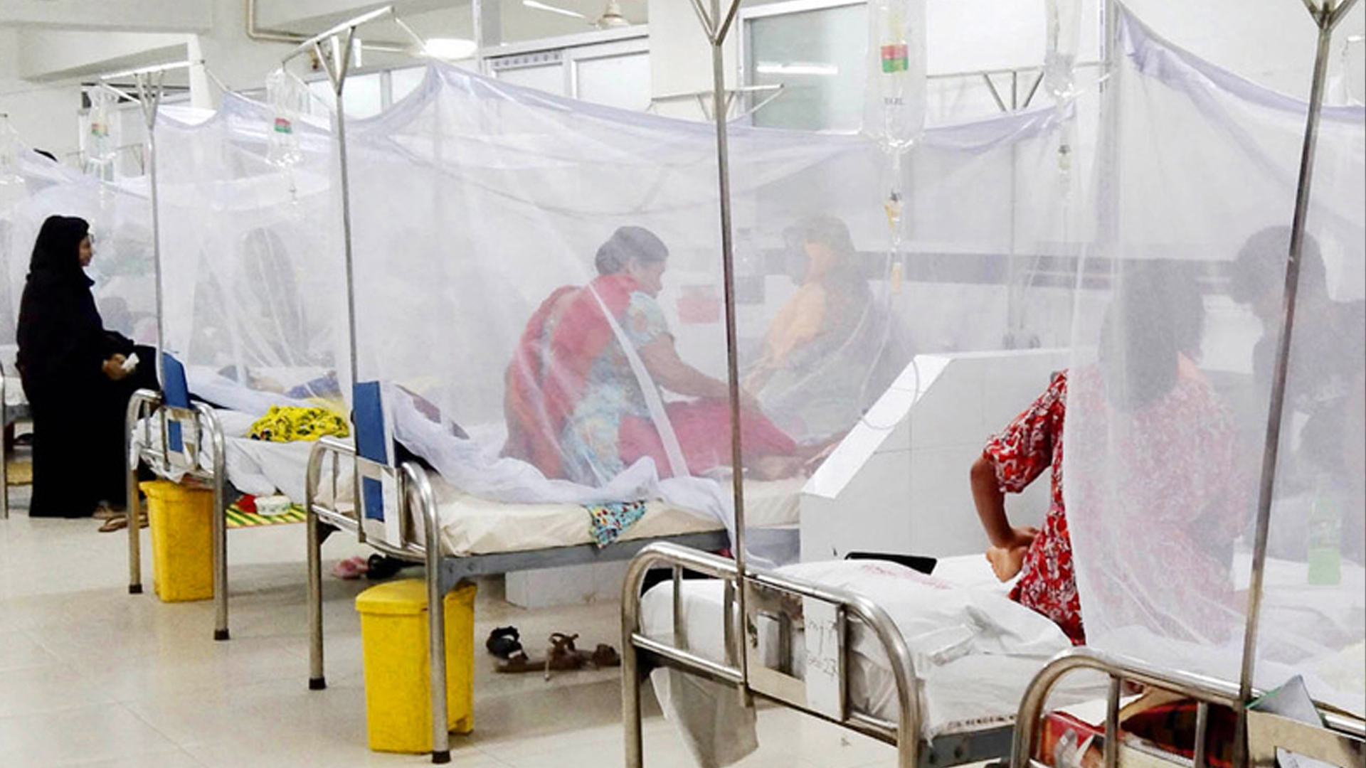 এক দিনে ২৯৪ জন ডেঙ্গু আক্রান্ত