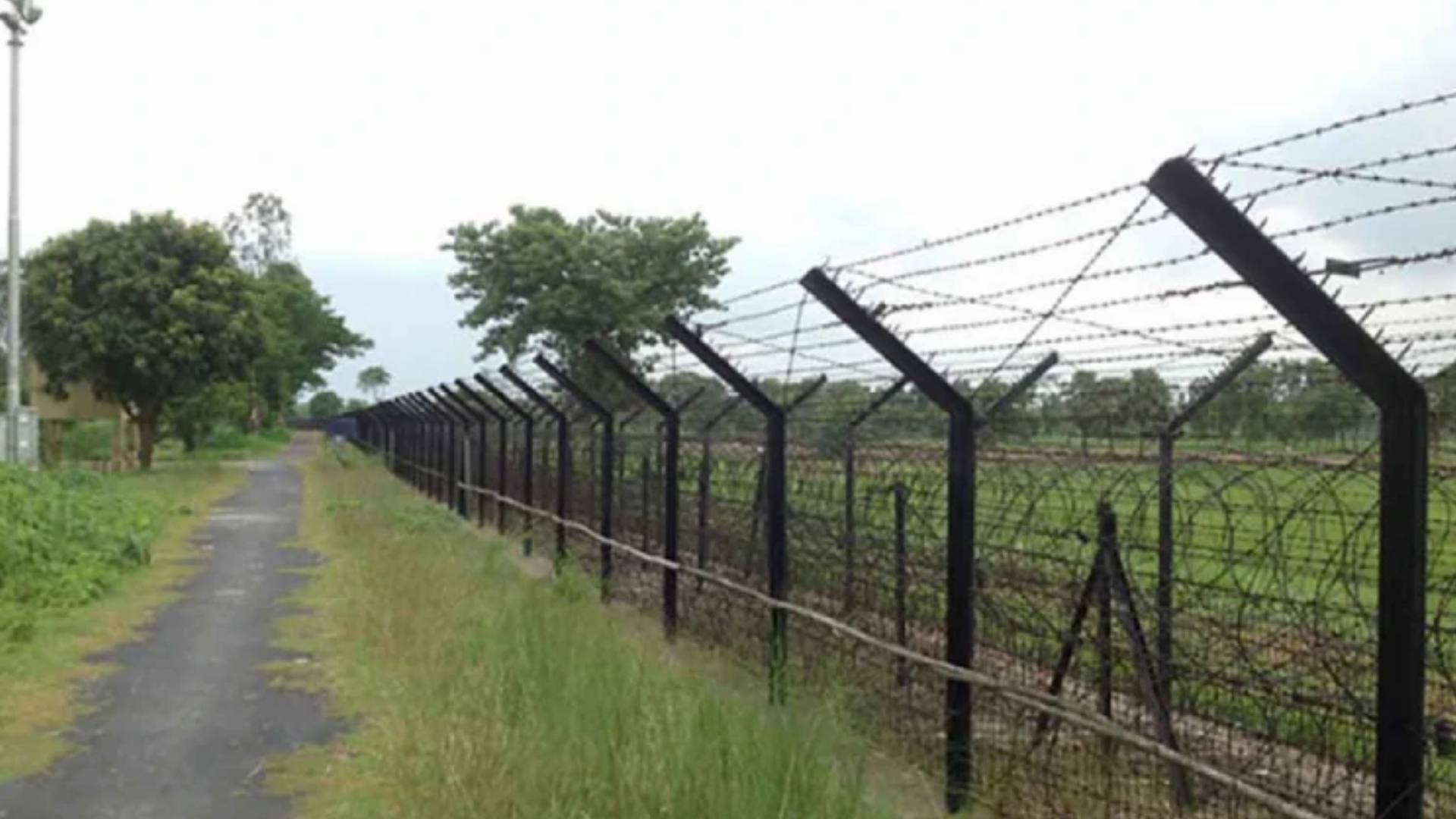 জামালপুর সীমান্ত দিয়ে নারীসহ ৭ জনকে পুশইন