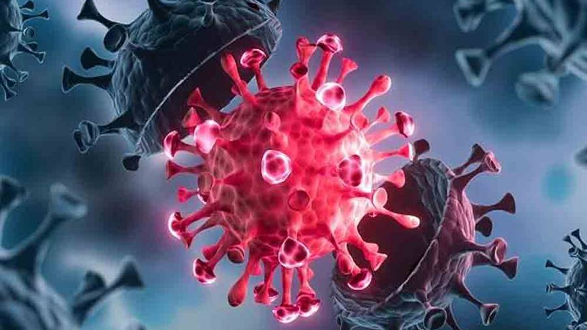 ২৪ ঘণ্টায় করোনায় আক্রান্ত ২৮