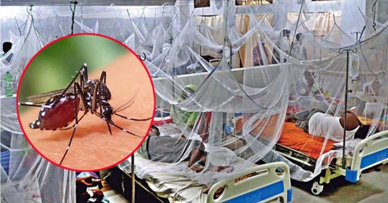ডেঙ্গুতে একদিনে ৪৯২ জন আক্রান্ত; সর্বোচ্চ সংক্রমণ