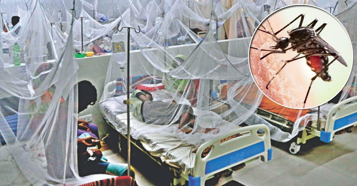 ডেঙ্গু আক্রান্ত হয়ে হাসপাতালে ভর্তি ৩৬৪ জন, মোট আক্রান্ত ১৭ হাজার ছাড়াল