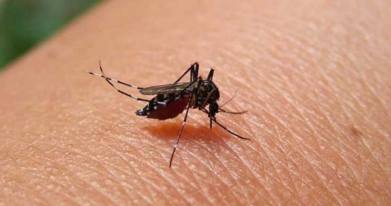 ডেঙ্গুতে ১ জনের মৃত্যু, হাসপাতালে ভর্তি ৩২৯