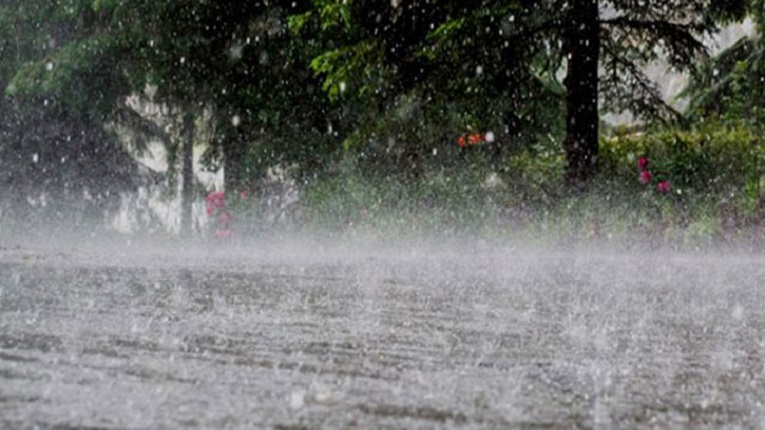 ছাত্রদল-এনসিপির সমাবেশে হানা দিতে পারে বৃষ্টি