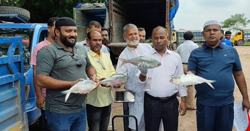 আখাউড়া দিয়ে ভারতে গেল ১ হাজার ১৯২ কেজি ইলিশ