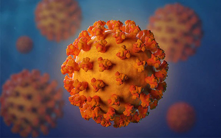 চট্টগ্রামে মঙ্গলবার ১৫ জনের করোনা শনাক্ত