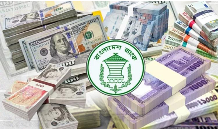 বৈদেশিক মুদ্রার রিজার্ভ ৩১ বিলিয়ন ডলার অতিক্রম