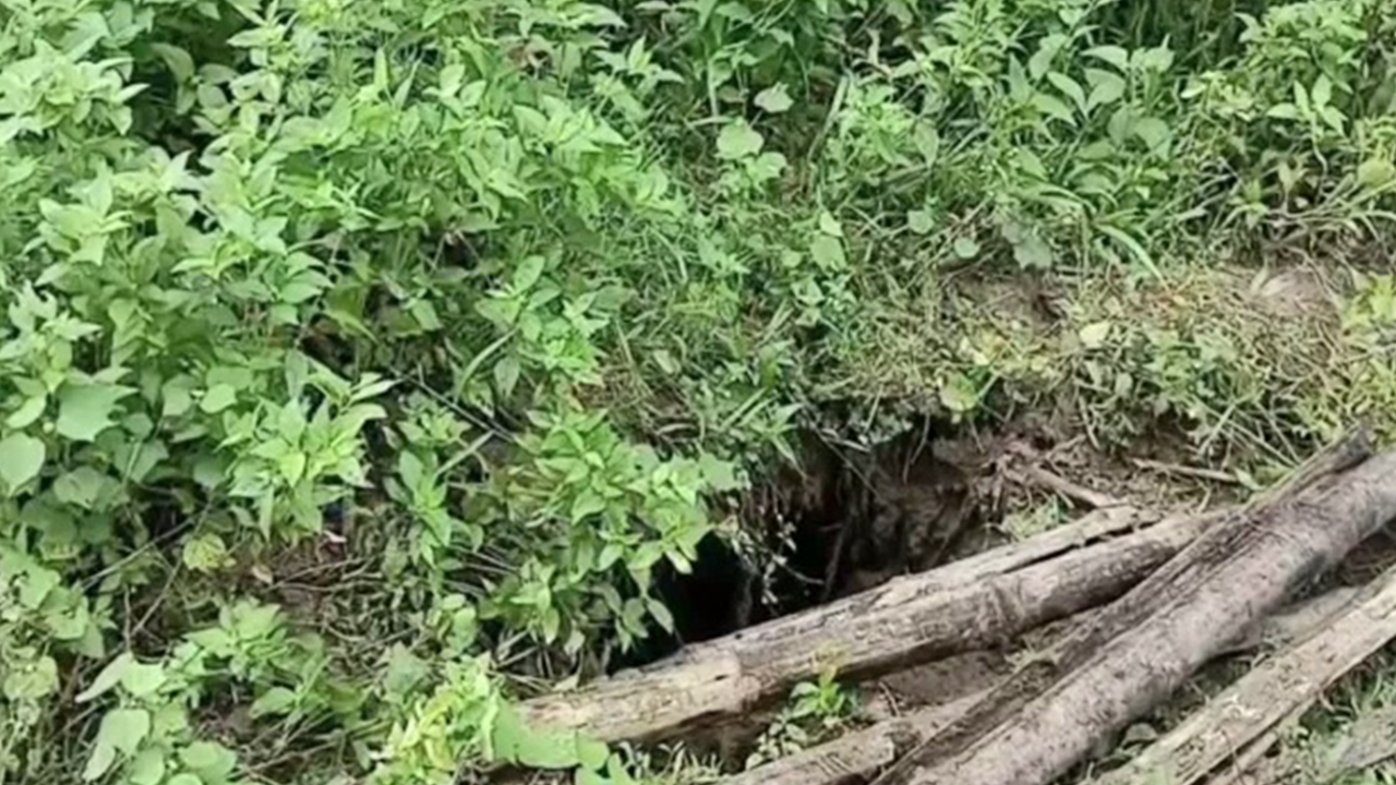 গাইবান্ধায় কবরস্থান থেকে ৩০টি কঙ্কাল চুরি