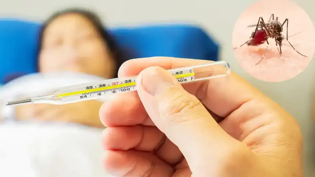 ডেঙ্গুতে আরও ৫ জনের মৃত্যু, এ বছর মৃতের সংখ্যা ১৮৭