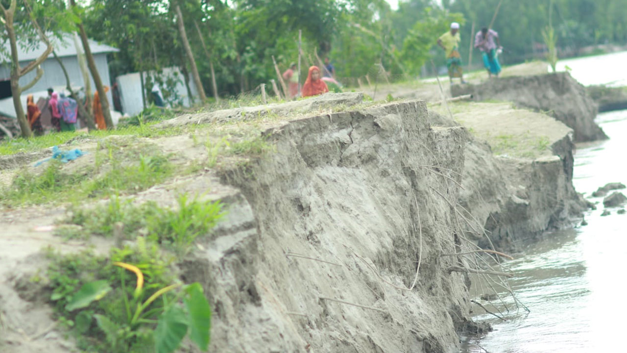 ‎কুড়িগ্রামে ব্রহ্মপুত্র নদের ভাঙনে নিঃস্ব শত শত পরিবার