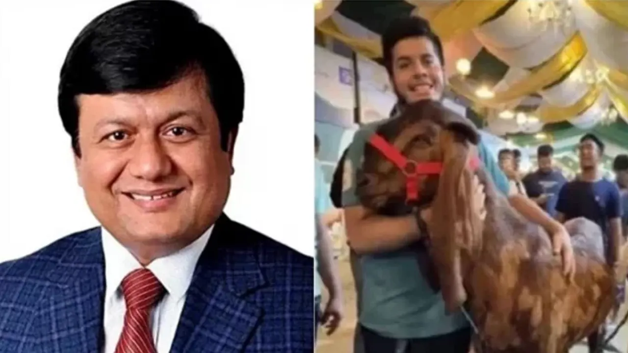 আদালতে কাঁদলেন ছাগলকাণ্ডের মতিউর, মেলেনি জামিন