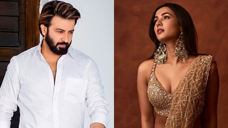 শাকিবের ‘দরদ মুক্তি’ পাবে নভেম্বরে