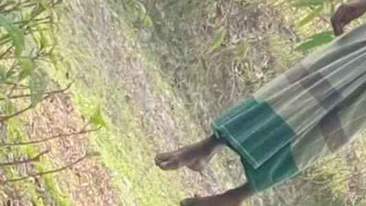 ঋণের চাপে বৃদ্ধের আত্মহত্যা